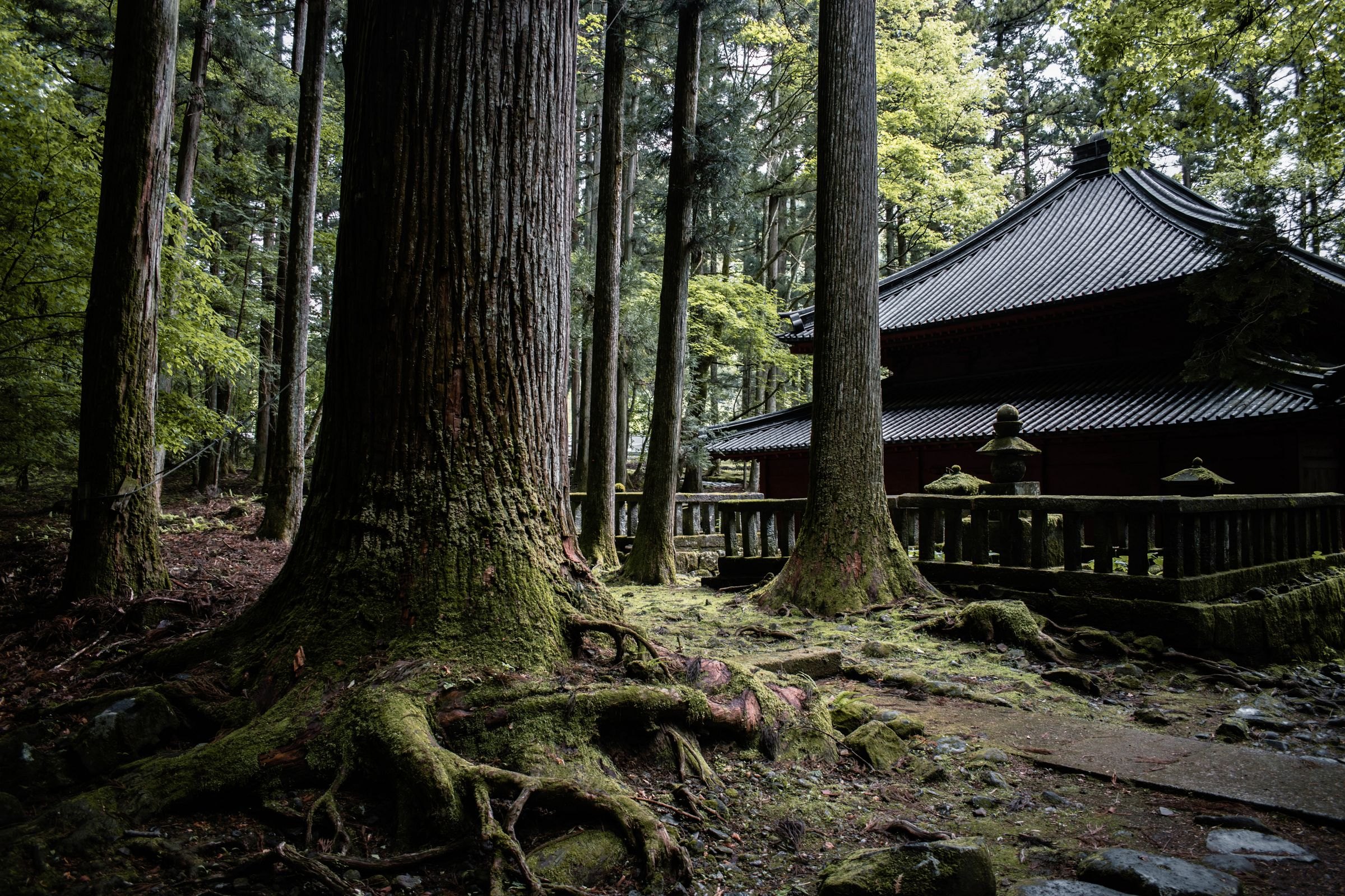 A temple in the forest on Koyasan