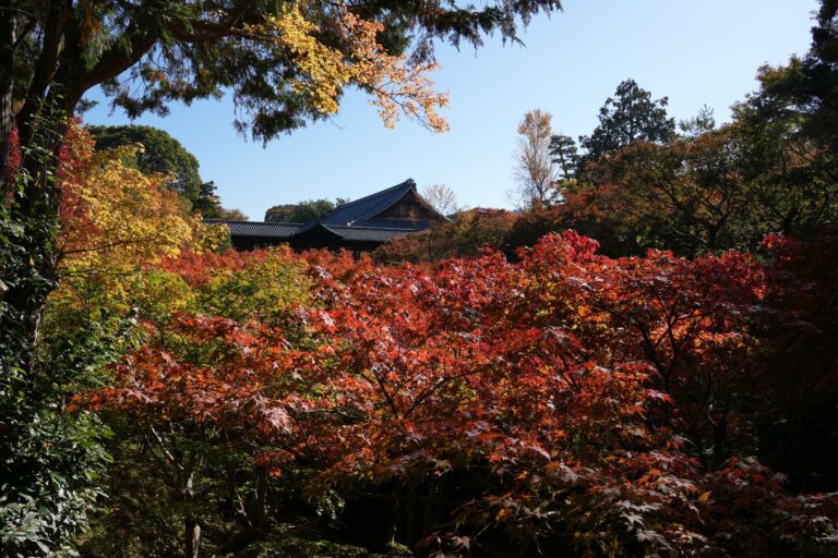 Autumn colours at a Kyoto temple