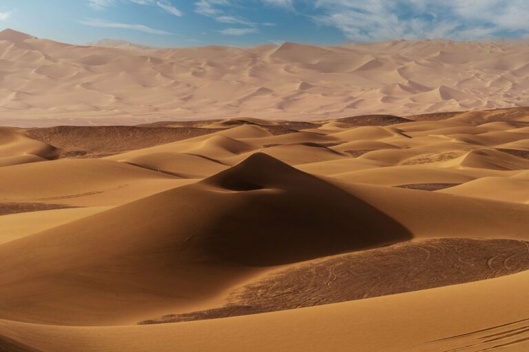 Sand dunes in the Kyzylkum desert