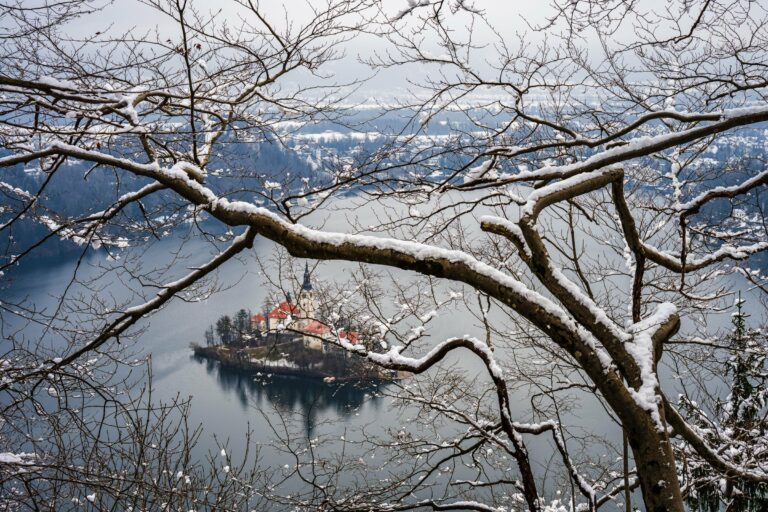 Lake Bled and its island church in winter