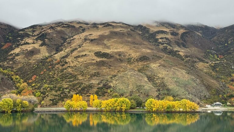 Autumn trees reflected in Lake Dunstan