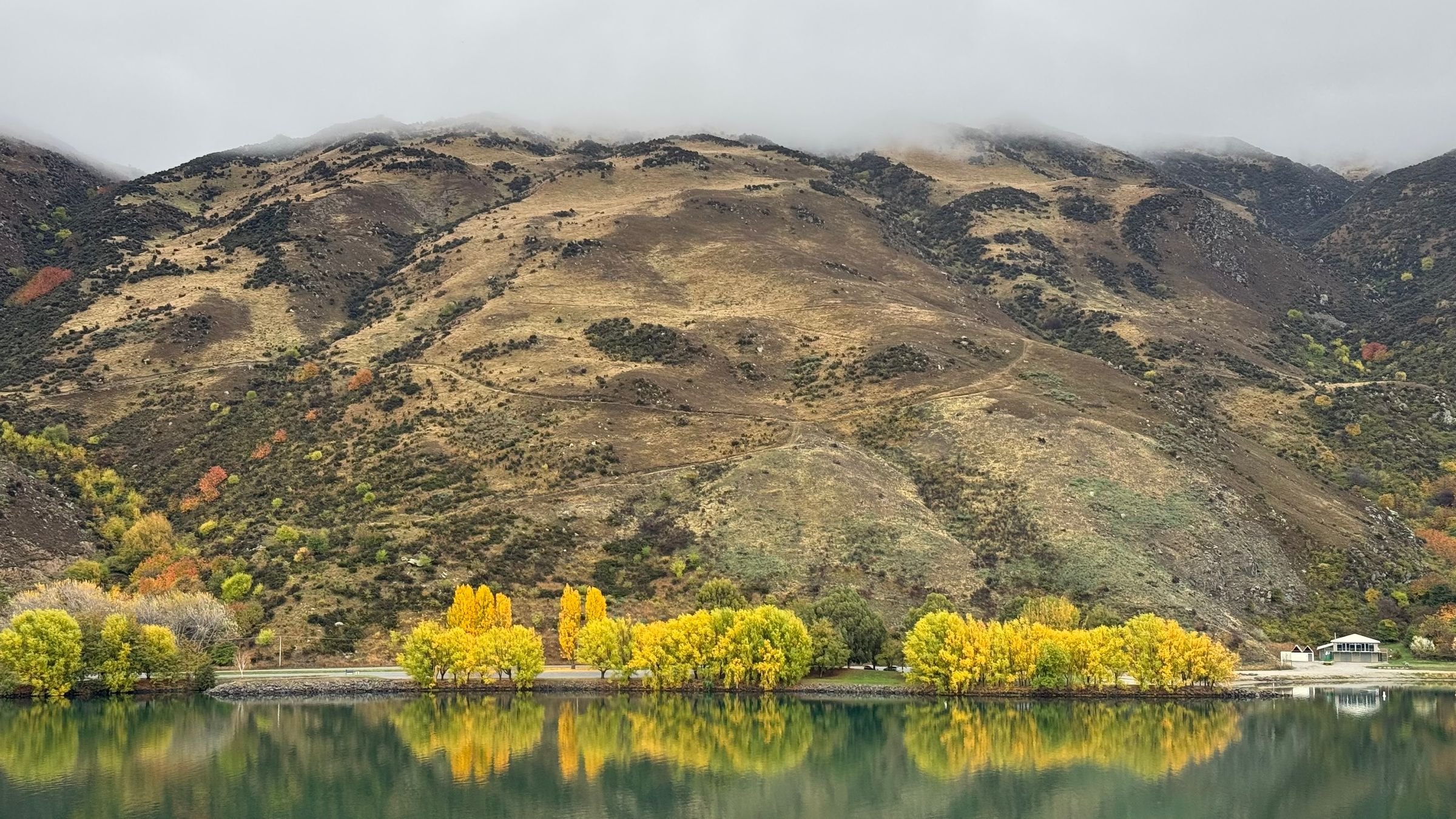Autumn trees reflected in Lake Dunstan