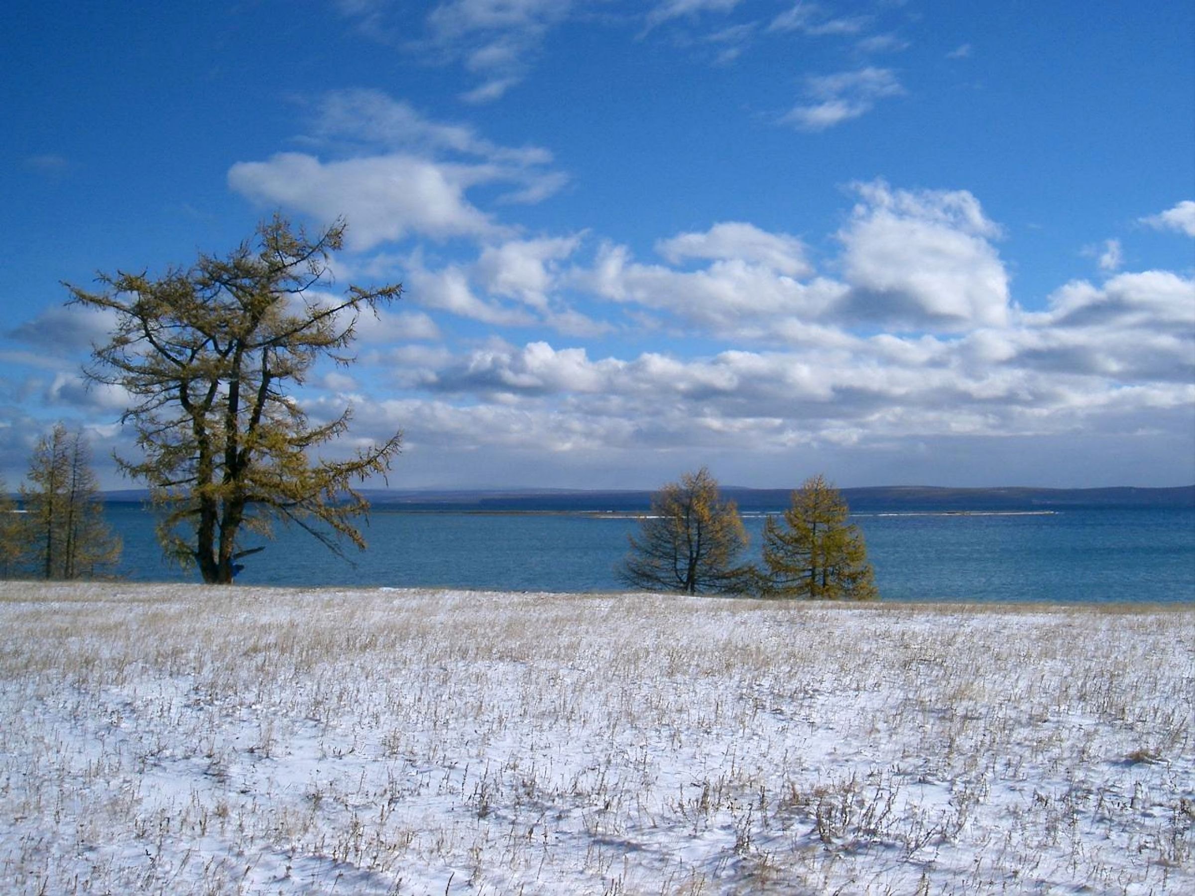 The shore of Lake Khovsgol, Mongolia