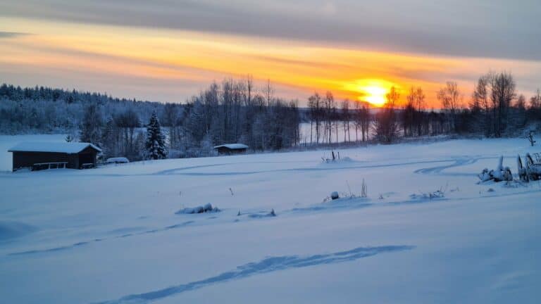 Sunrise over snow-covered fields and forest in Lapland