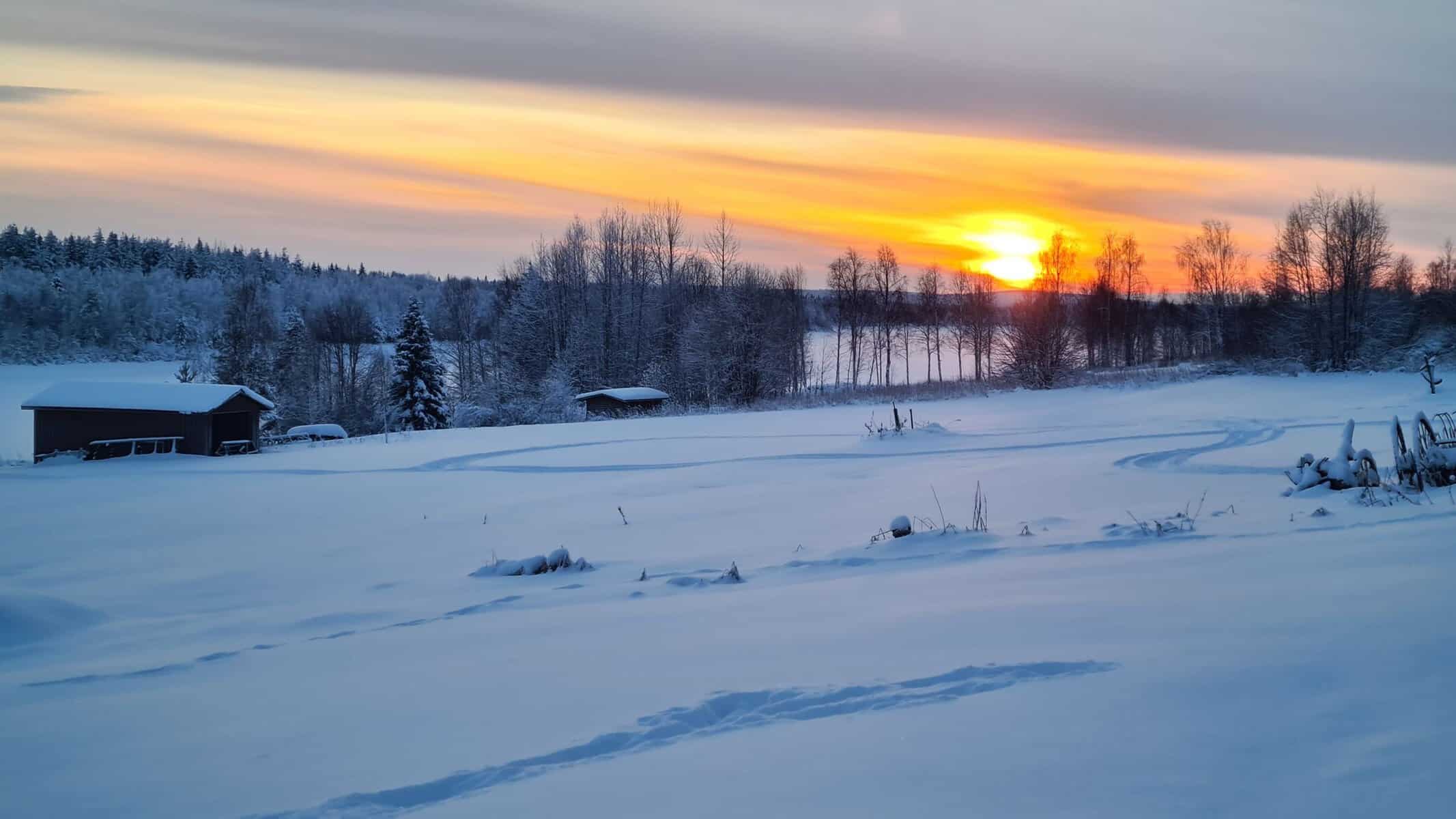 Sunrise over snow-covered fields and forest in Lapland