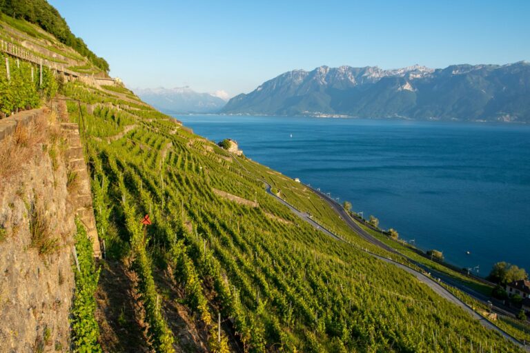 Vineyard terraces above Lake Geneva in Lavaux
