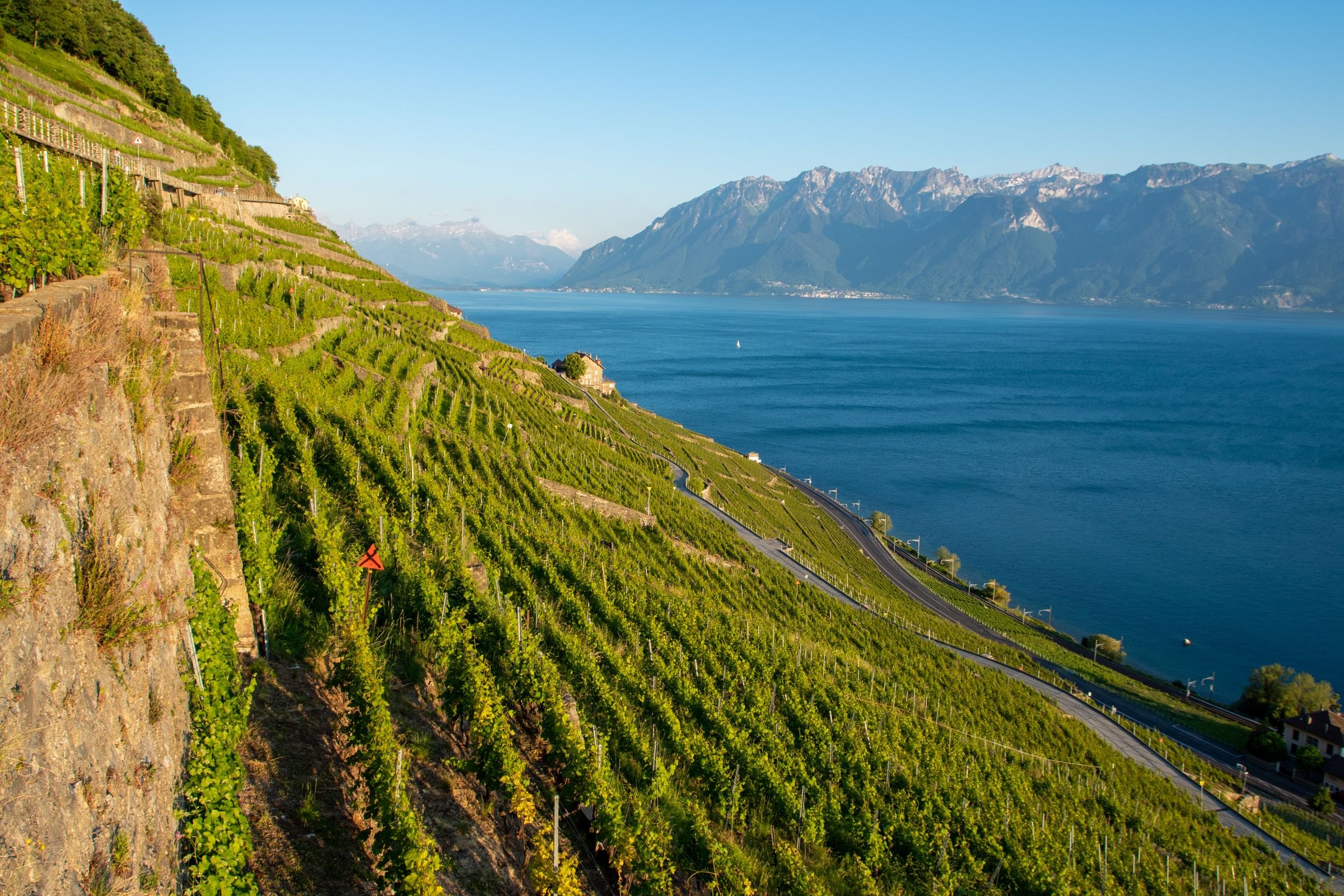 Vineyard terraces above Lake Geneva in Lavaux