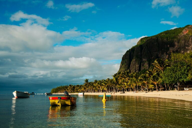Boats and palms below Le Morne, Mauritius