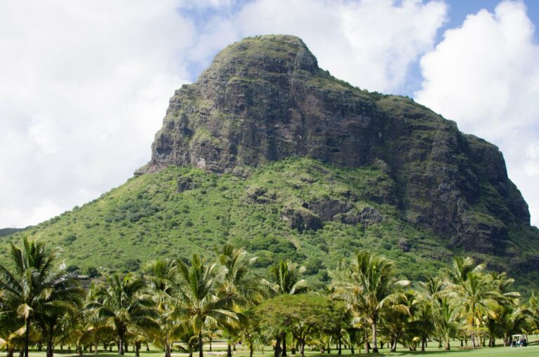 Le Morne mountain above the palms