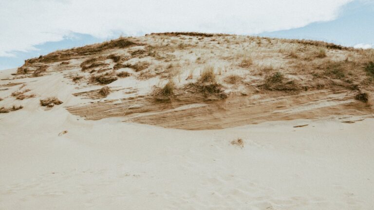 Curonian Spit