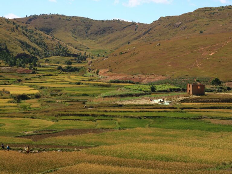 Rural farmland and hills in Madagascar