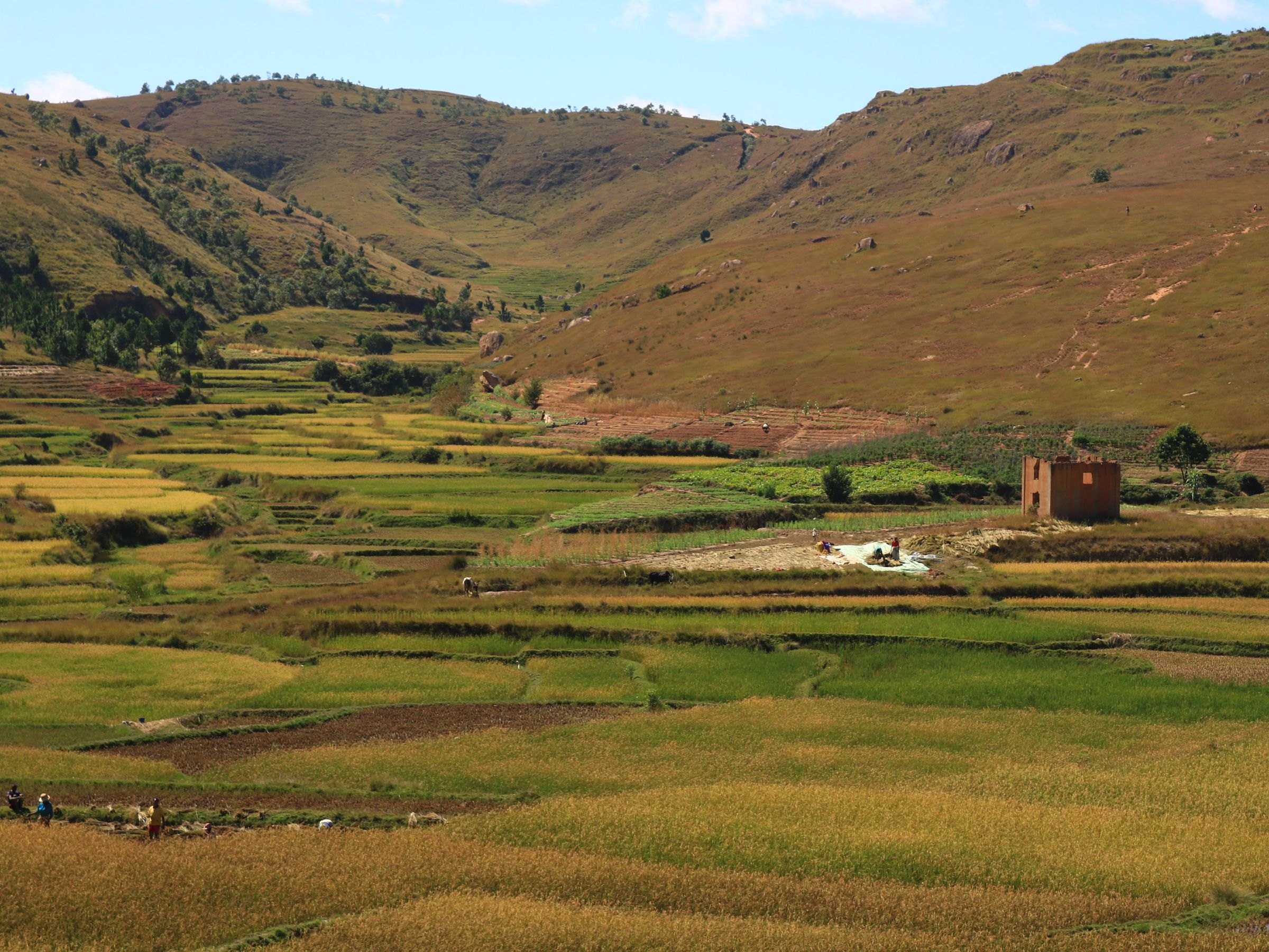 Rural farmland and hills in Madagascar