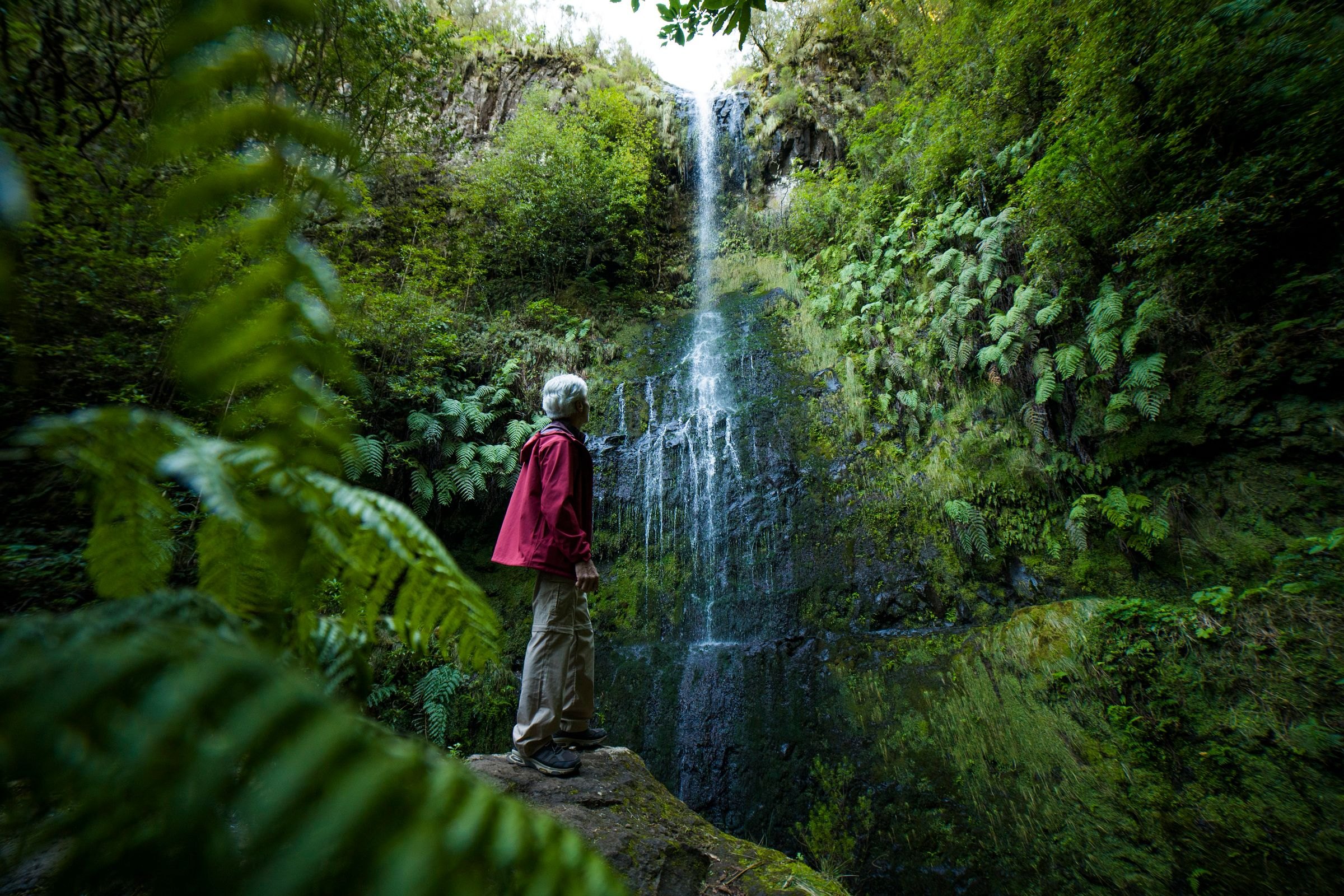 A hiker at a waterfall in Madeira's forest