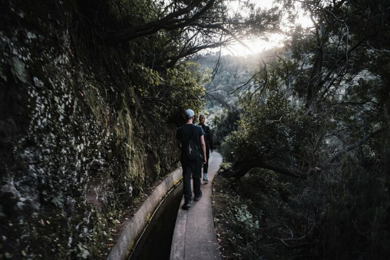 Walkers on a forest levada in Madeira