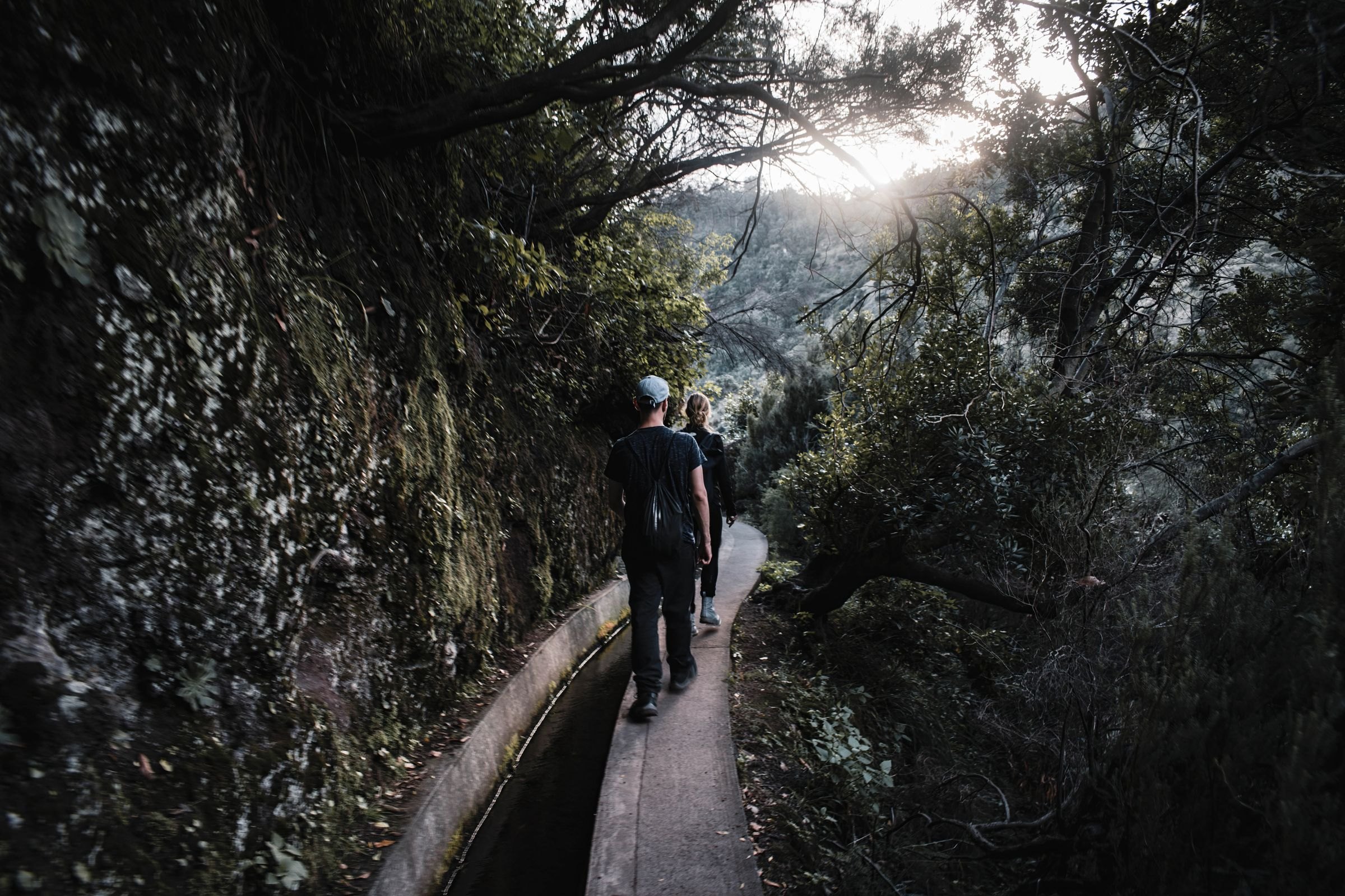 Walkers on a forest levada in Madeira