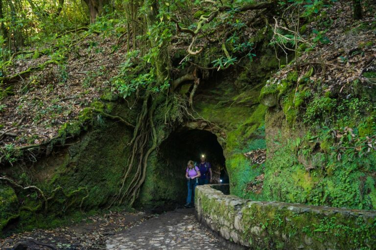 Walkers entering a tunnel on a levada trail in Madeira