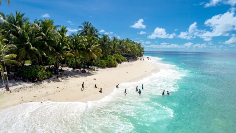 A palm-fringed beach in the Maldives