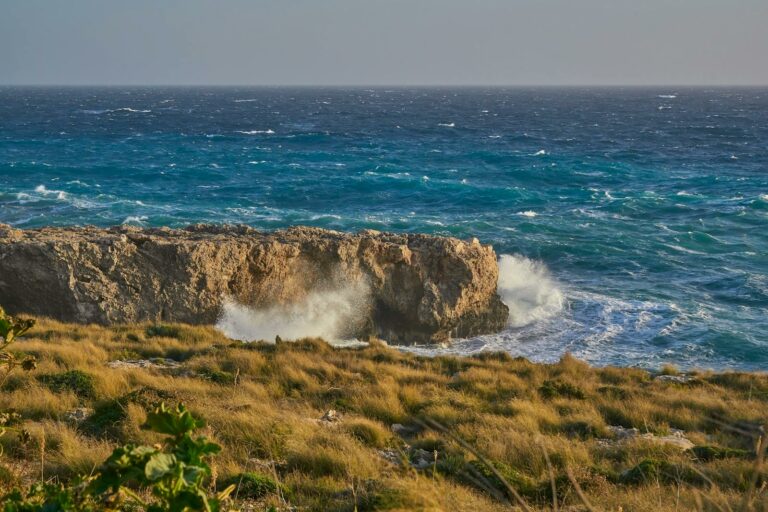 Gozo