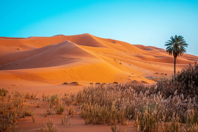 Sand dunes at Merzouga