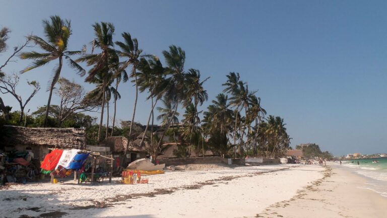 A beach with palm trees near Mombasa