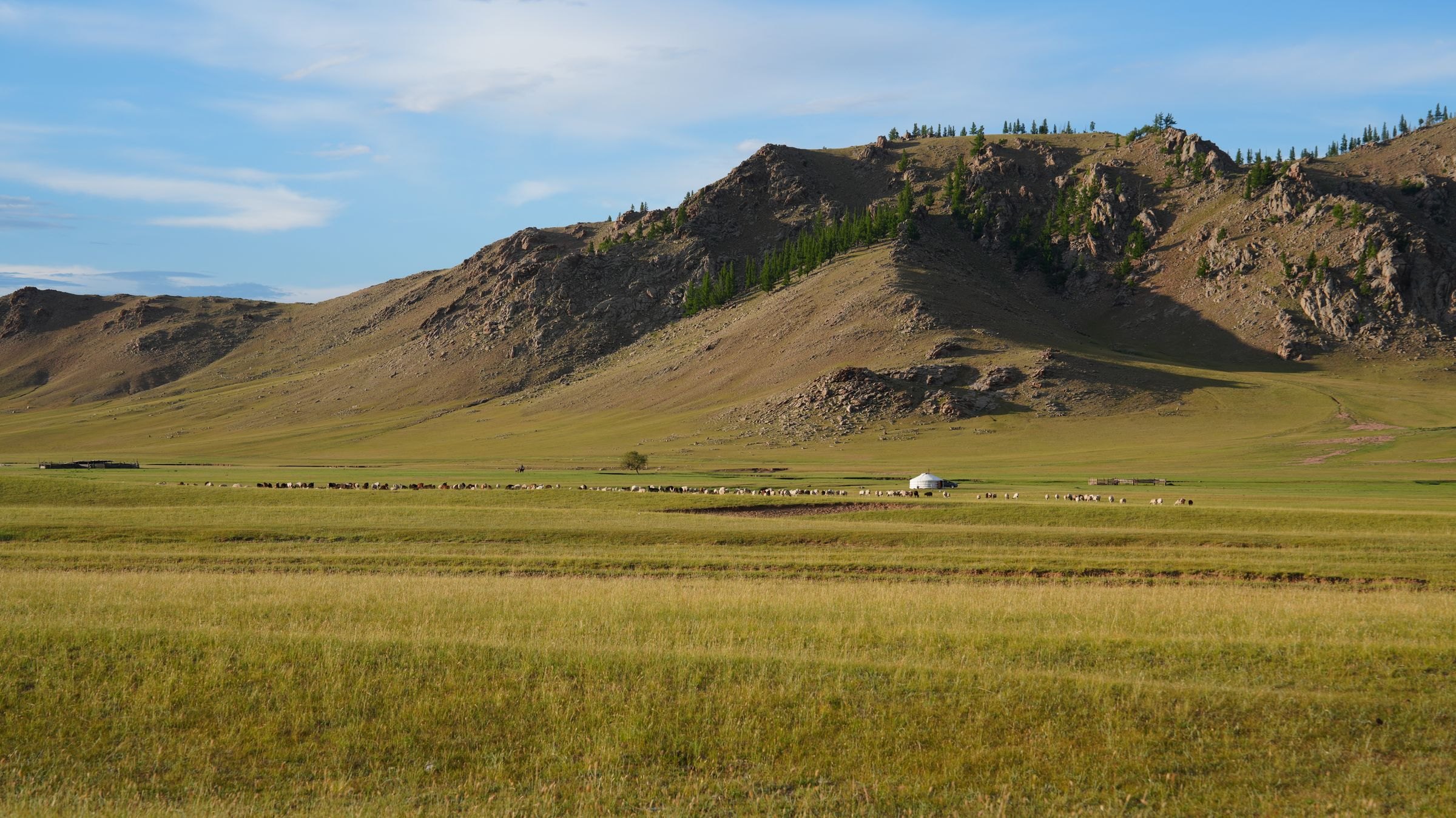 A ger on the Mongolian steppe
