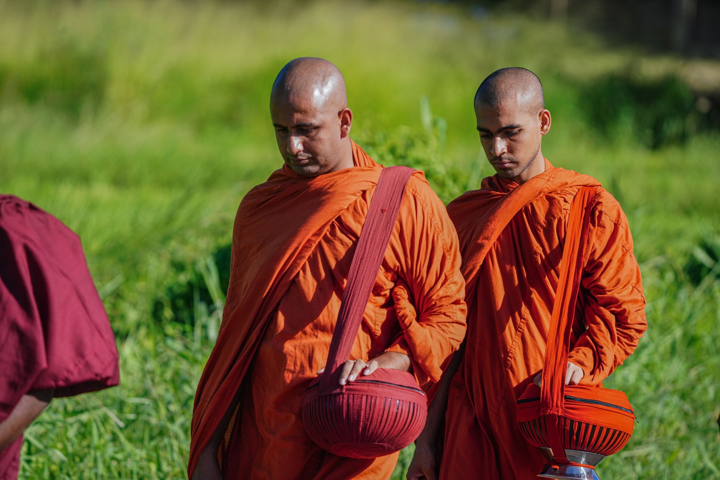 Buddhist monks walking in Sri Lanka