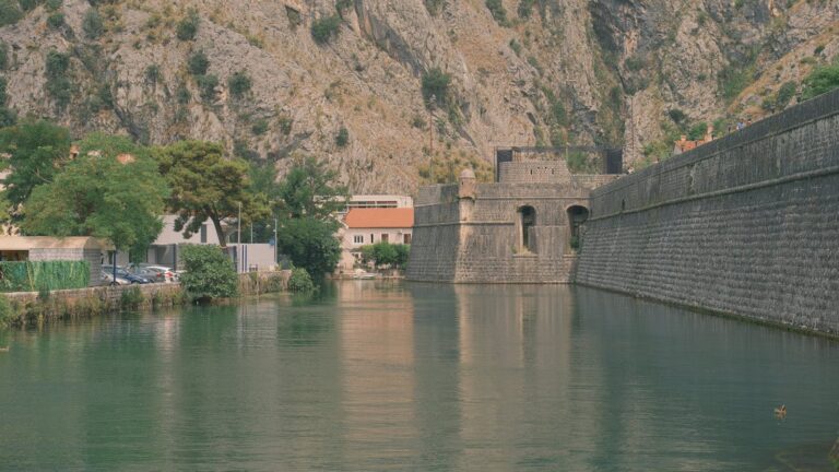 Kotor