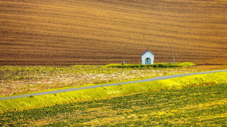 A chapel in the fields of southern Moravia