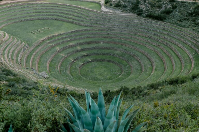 The circular terraces of Moray