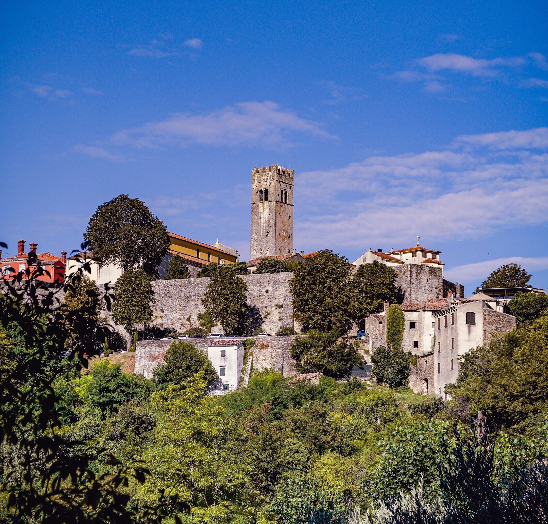 The hill town of Motovun in Istria