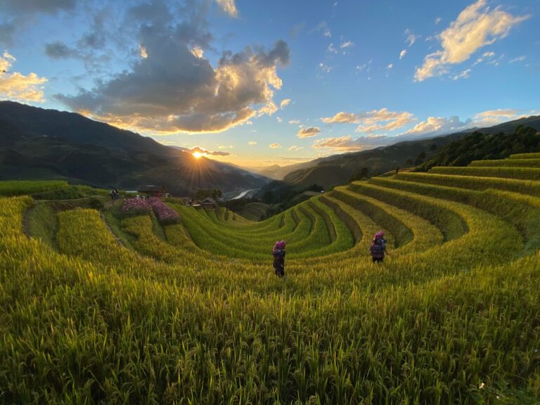 Golden rice terraces at sunset in Mu Cang Chai