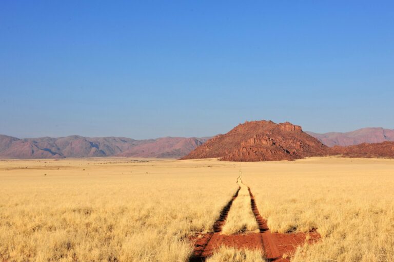 Golden grassland and mountains in Namibia