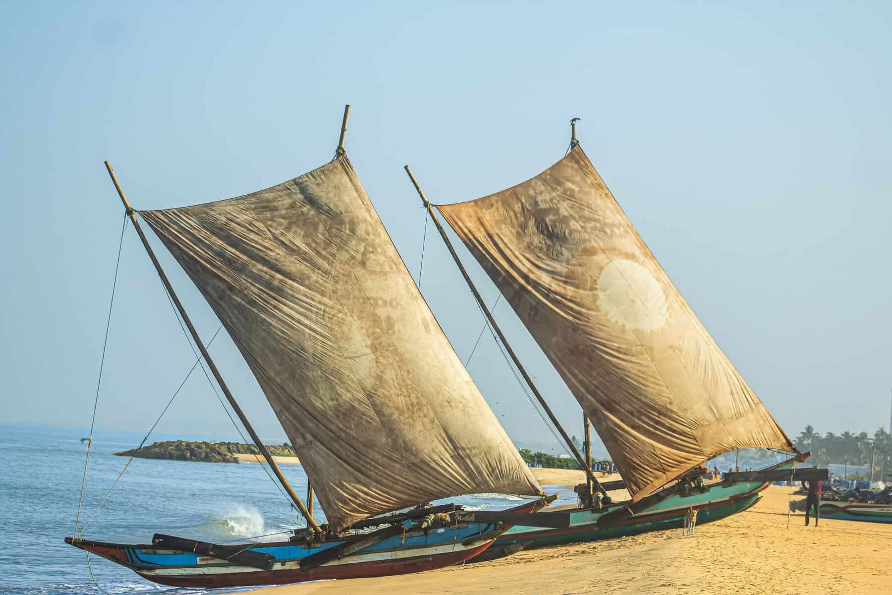 Traditional sailing fishing boats at Negombo, Sri Lanka