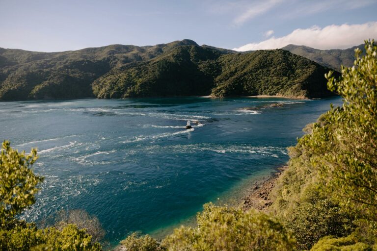 South Island North — Marlborough & Kaikoura