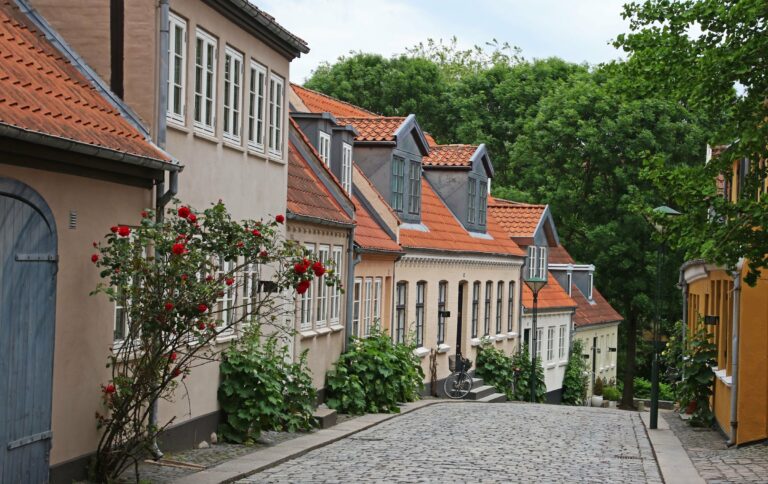 Colourful houses on a cobbled street in Odense