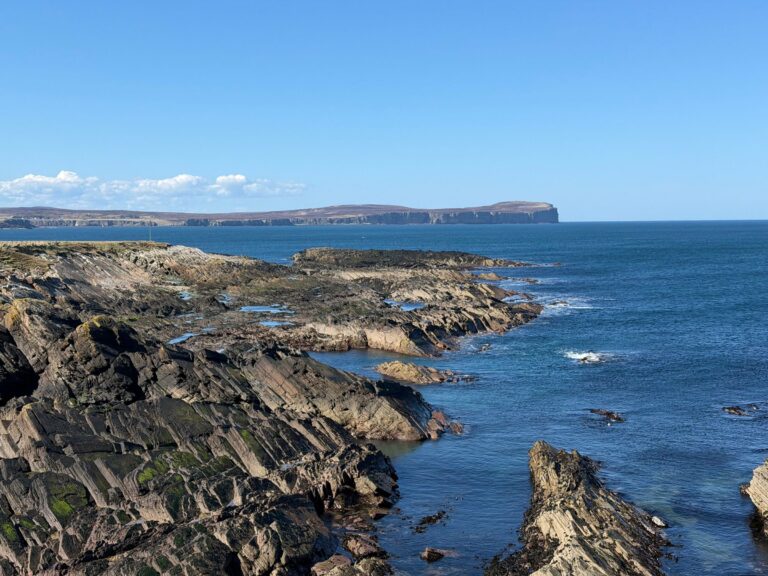 The rugged coast of Orkney