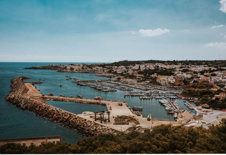 Otranto and its harbour from above
