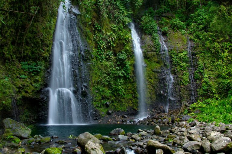 A waterfall cascading into a forest pool