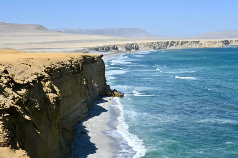 The cliffs and coast of Paracas
