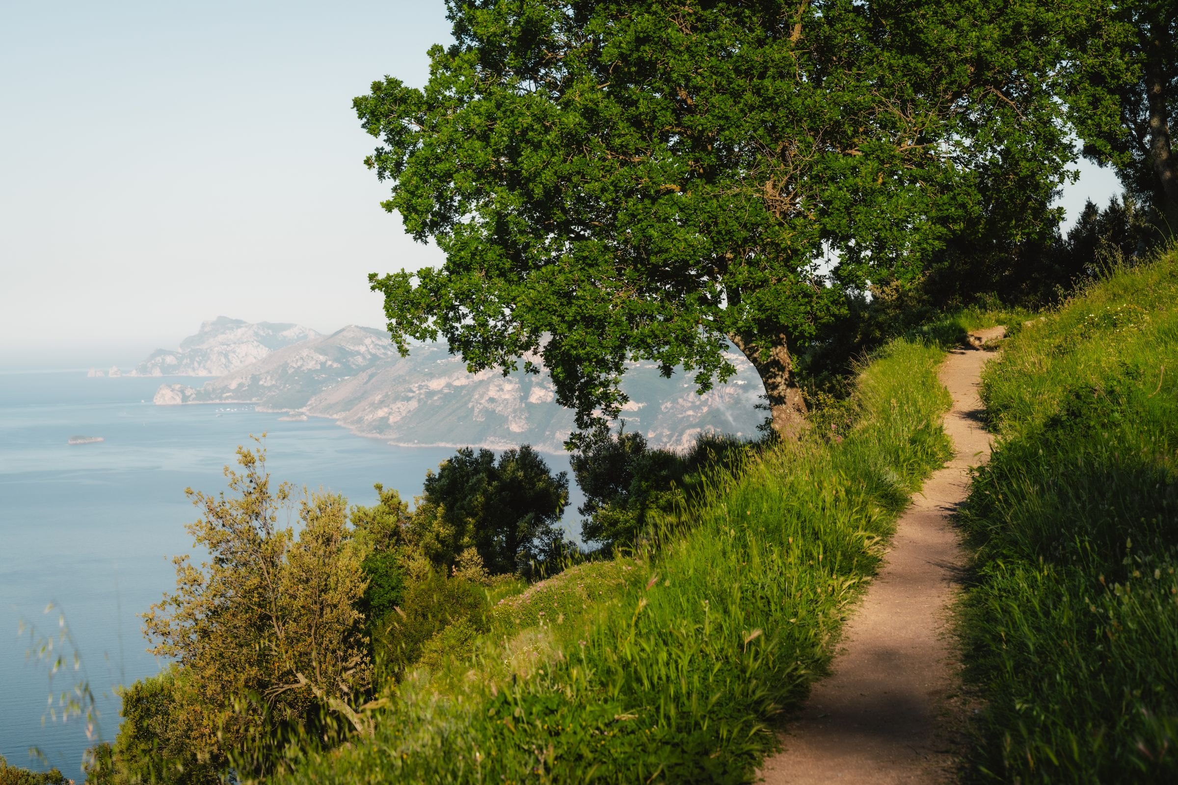 A trail on the Path of the Gods above the coast
