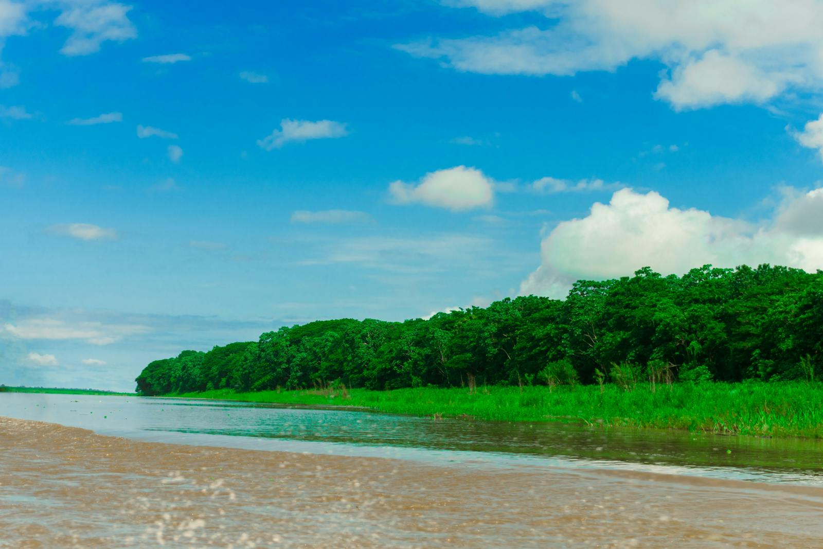 Tranquil scene of the Amazon River flanked by lush green rainforest in Loreto, Peru
