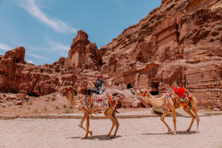 Camels among the rock tombs of Petra