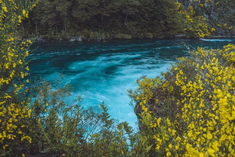 The blue waters of the Petrohué River