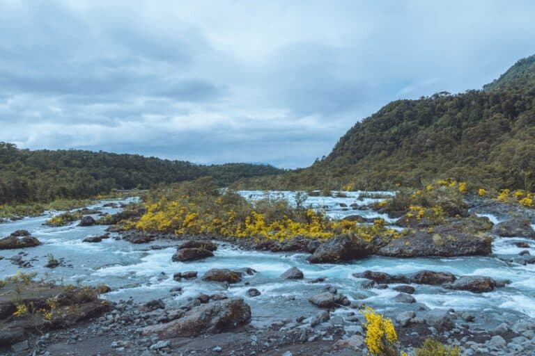 The Petrohué River beneath forested hills, Chile