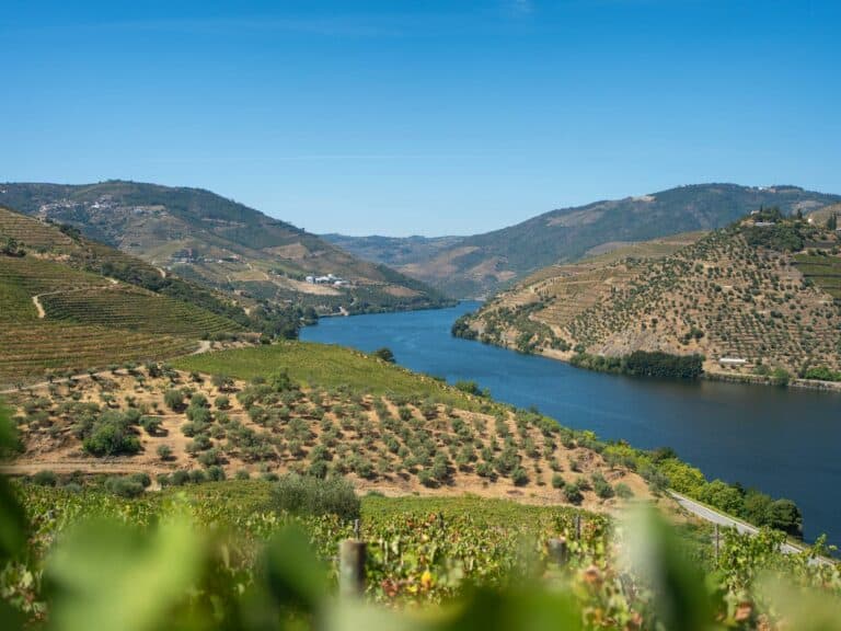 Riviera Travel