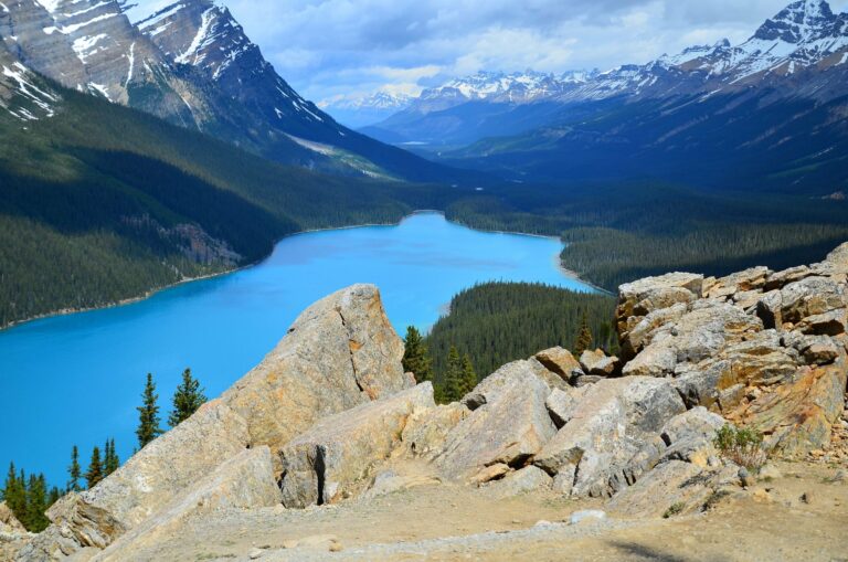 Peyto Lake in the Canadian Rockies