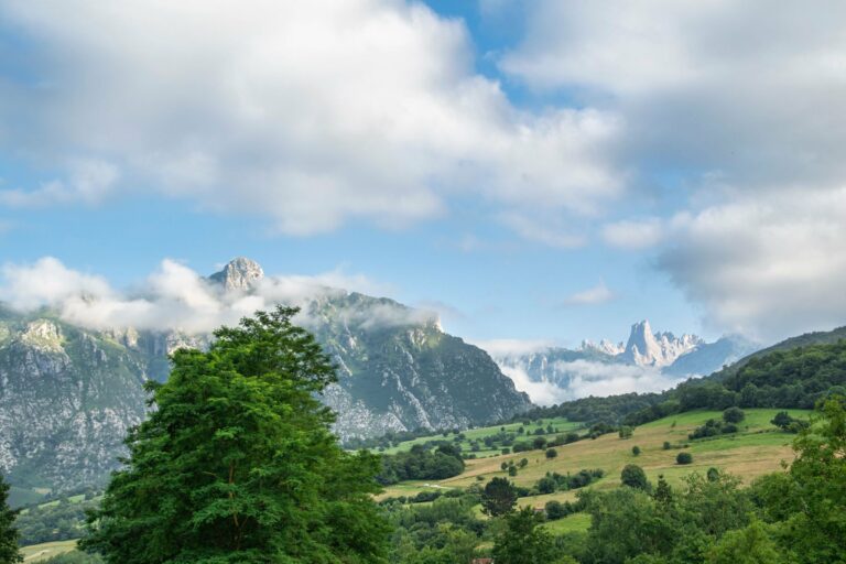 A panoramic view of the Picos de Europa