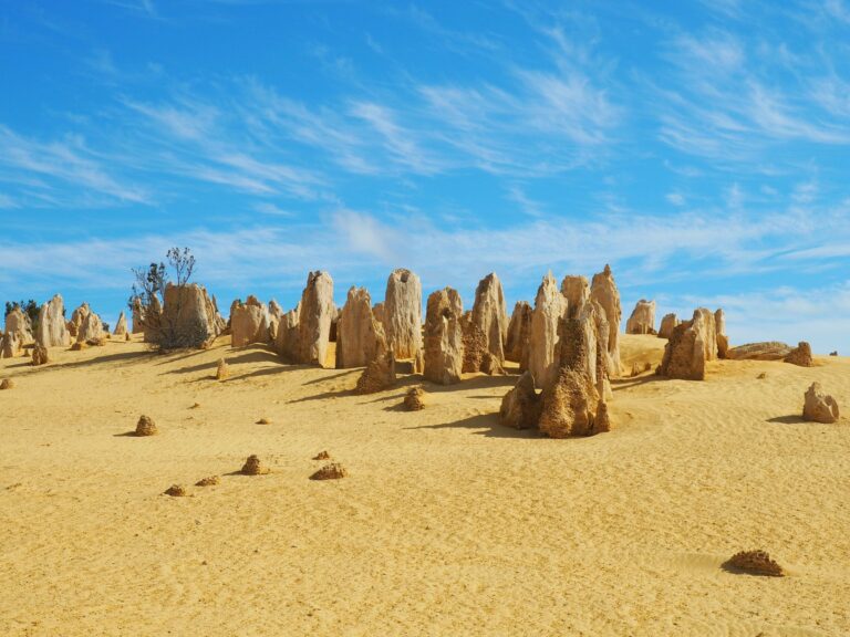 Limestone spires in the Pinnacles Desert