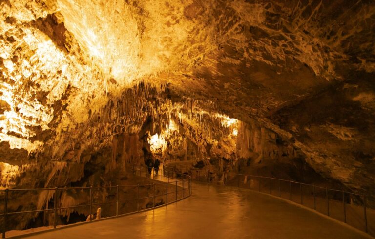 Formations inside the Postojna Cave