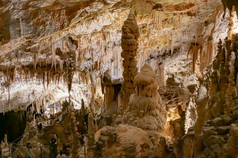 Stalactites in the Postojna Cave